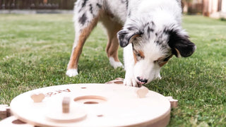 Dog Learning Educational Toy