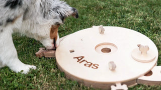 Interactive Dog Treat Puzzle Toys for IQ Training