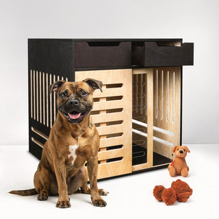Personalized Dog House with Storage