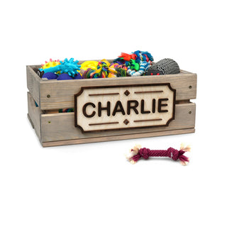 Personalized Pet Toy Box