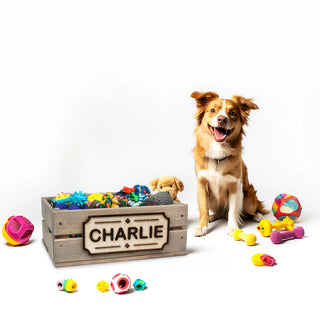 Personalized Pet Toy Box