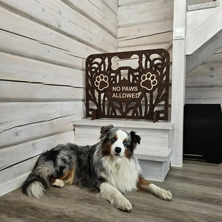 Personalized No Paws Allowed Dog Stair Gate